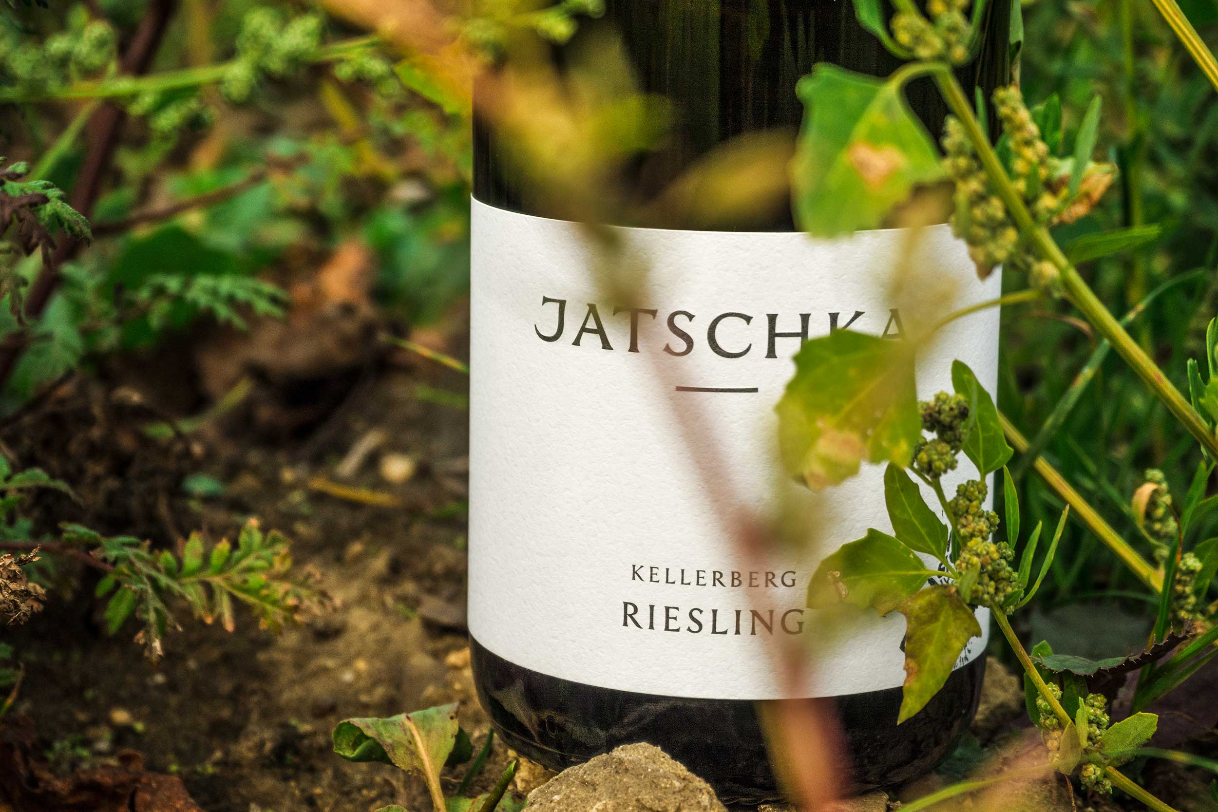 Markenprozess Weingut Jatschka · Branding Agentur Wien