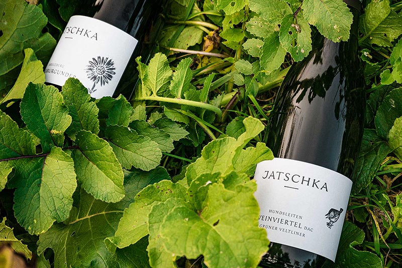 Markenprozess Weingut Jatschka · Branding Agentur Wien