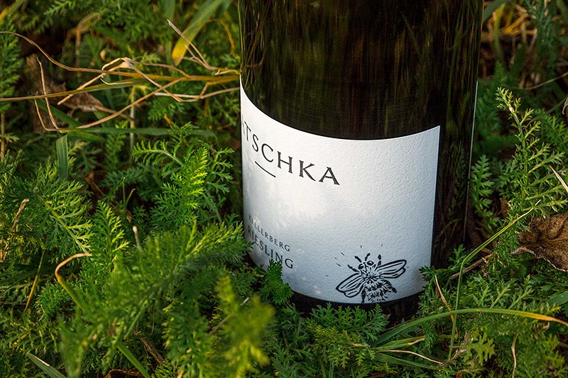 Markenprozess Weingut Jatschka · Branding Agentur Wien